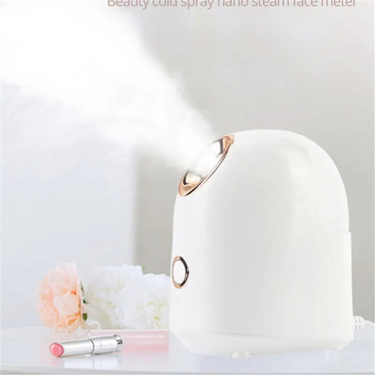 Facial Beauty Steamer - LV B&B Shop