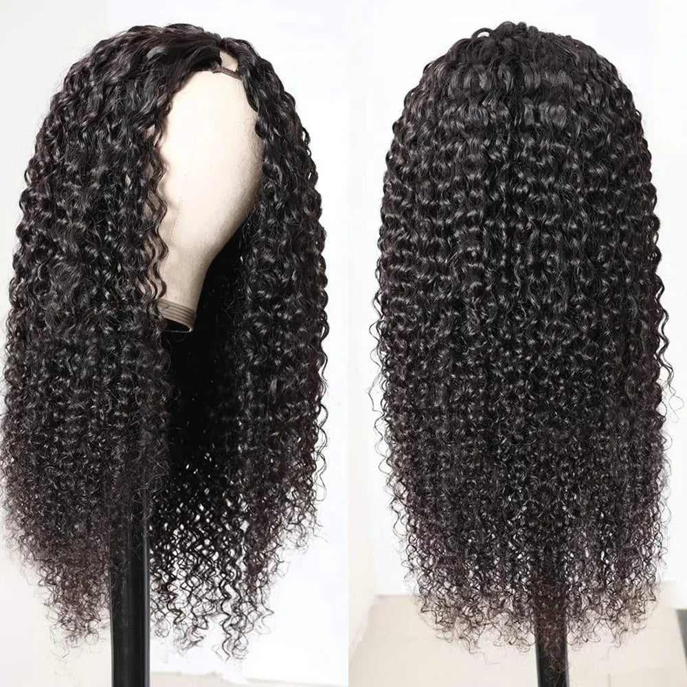 V Part Human Hair Wig - LV B&B Shop