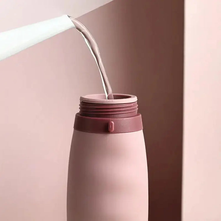 Foldable Water Bottle - LV B&B Shop