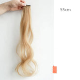 Colored Hair Extensions CJ Dropshipping