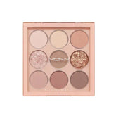 MACQUEEN New York 1001 Tone-On-Tone Shadow Palette Pro 9 9g 